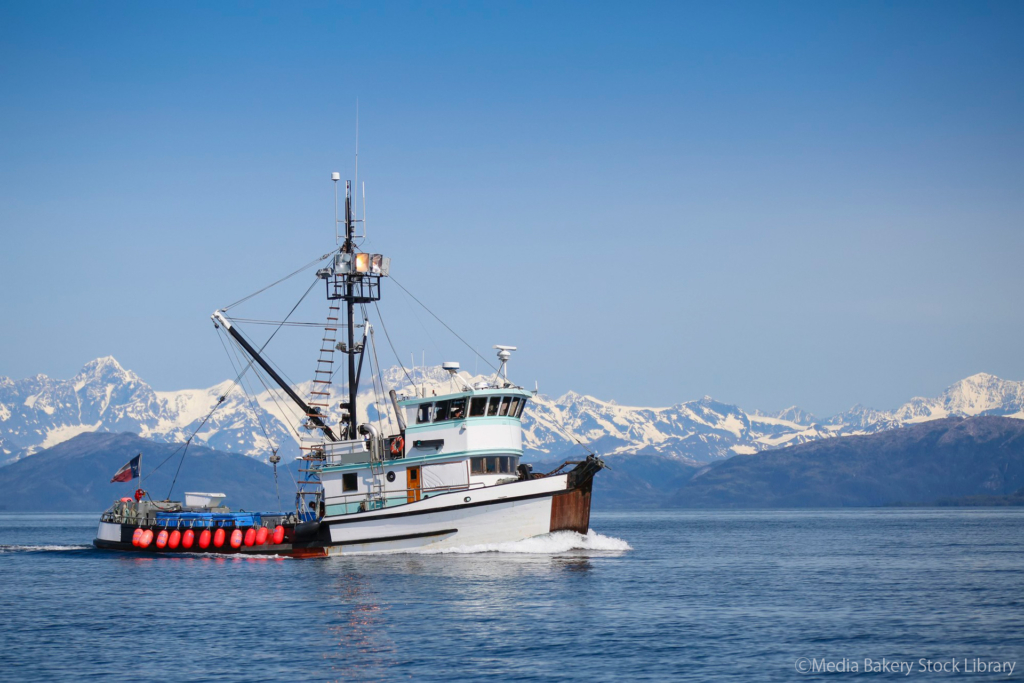 MSC漁業認証規格改定のポイント