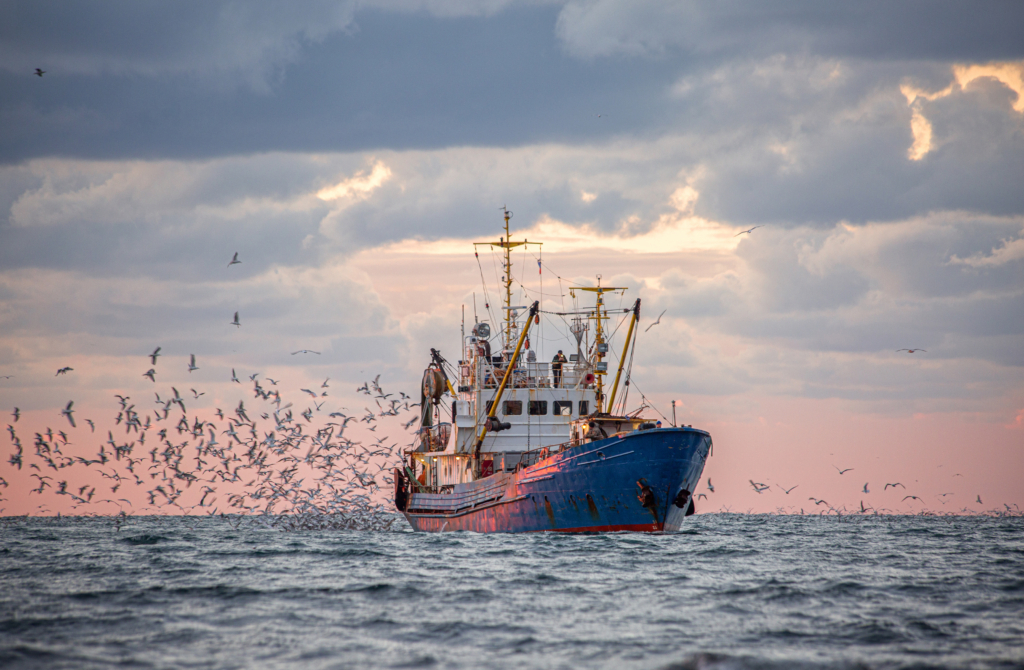 【前編】なぜマグロ漁の背景で人権侵害が起きるのか ーサプライチェーンのブラックボックス化（韓国漁船の事例から）