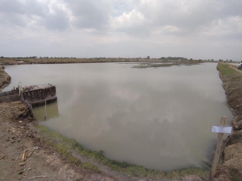 プロジェクト対象となった養殖池 