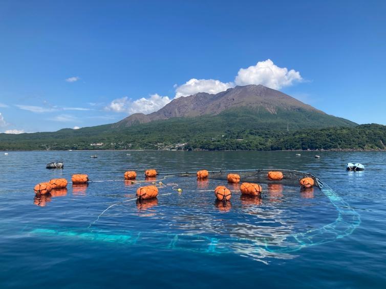 鹿児島桜島漁場の沈下式生簀