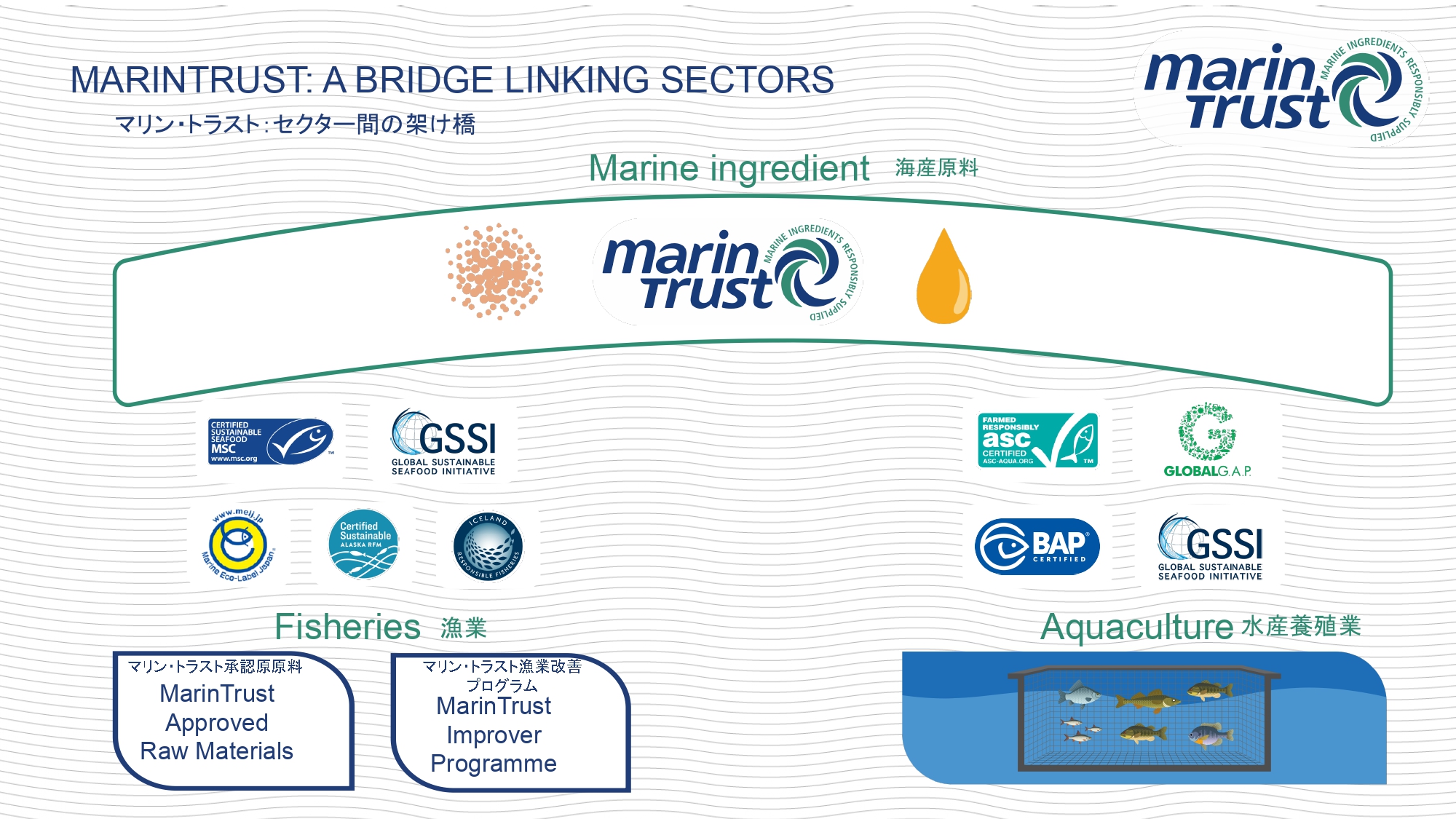 マリントラスト認証は、セクター間の架け橋（資料提供：マリントラスト） 