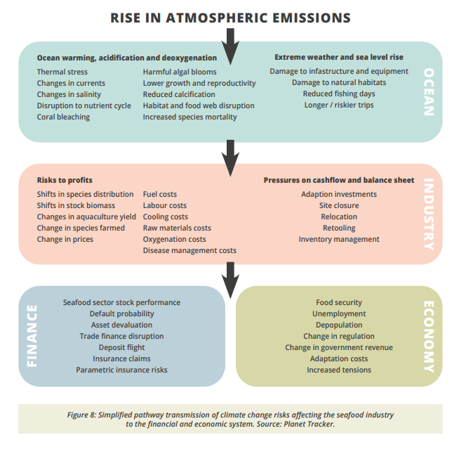 気候変動リスクが水産業から金融および経済システムに与える影響についての簡略図（作図：Planet Tracker