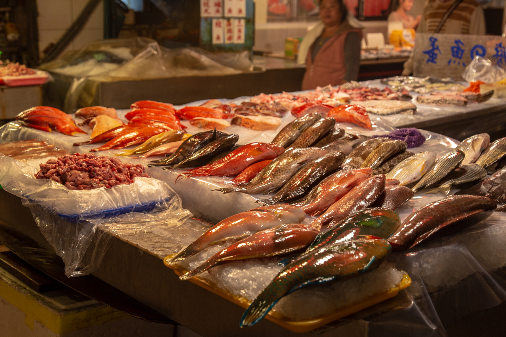 A storefront displays a variety of fresh fish. It is necessary to prevent the influx of seafood caught through illegal, unregulated, and unreported fishing. © Environmental Justice Foundation 