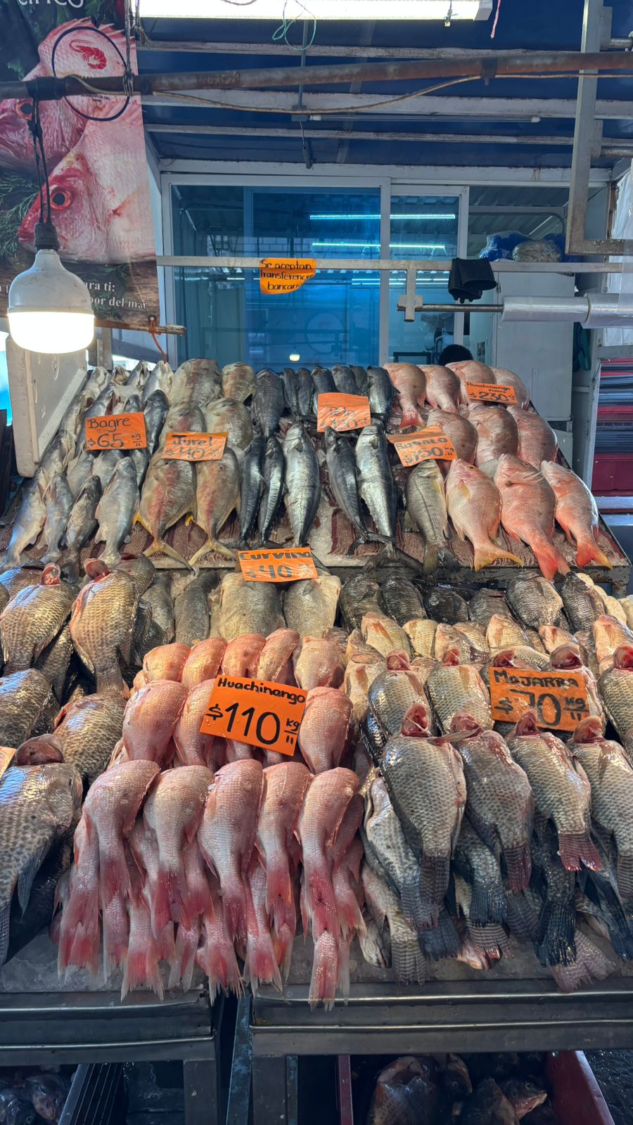 멕시코 시장의 생선 매장(사진 제공:COMEPESCA)