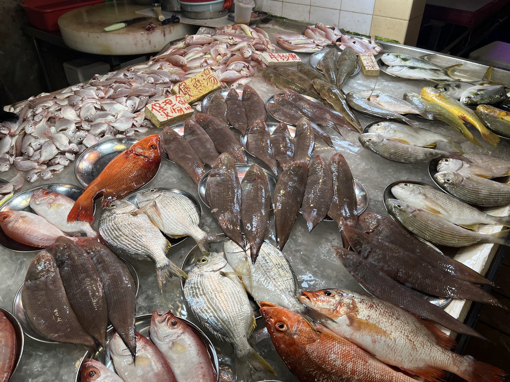 新鮮な魚が並ぶ、香港の伝統的な海鮮市場（写真提供：マンディ・ウォン） 