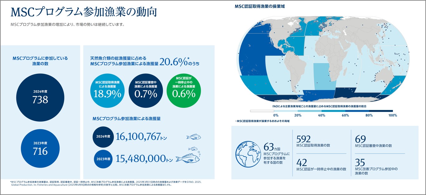 MSCプログラムに参画している漁業は700を超え、世界の天然魚介類の総漁獲量の2割を占める（「MSC年次報告書 2024年度」より。認証取得・審査中・一時停止保留中・MSC改善プログラム参加を含む